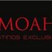 Moah (@moahviajes) Twitter profile photo Moah (@moahviajes) Twitter profile photo