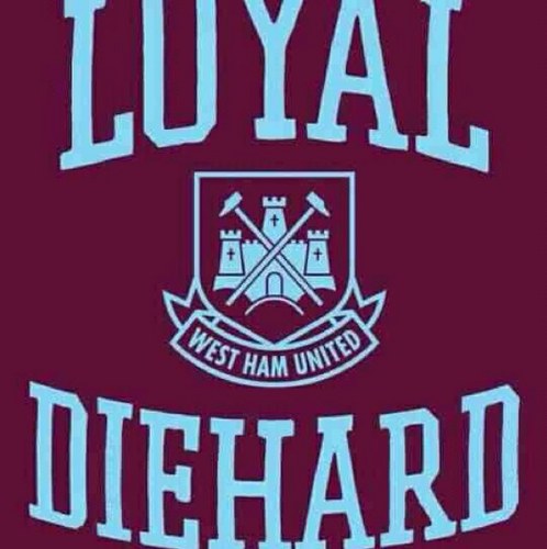 FlyingIrons's profile picture. 