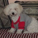 oscar clavel - @oscar_clavel - Twitter