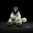 cunnyNo9's profile image
