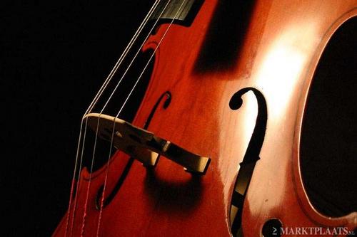 DanielZucon's profile picture. 