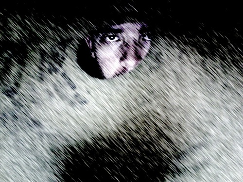 ilovewerewolves's profile picture. Loving werewolves doesn't make you a werewolf... does it?
http://t.co/7dfMsdtRoh
http://t.co/gO70ajjwc4