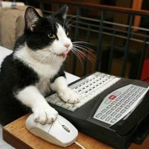 Mousanto's profile picture. and now we wait...   inside an explosion...   frozen in time...