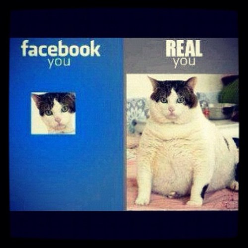 jacklaser80's profile picture. dont mess with me or ill mess with u