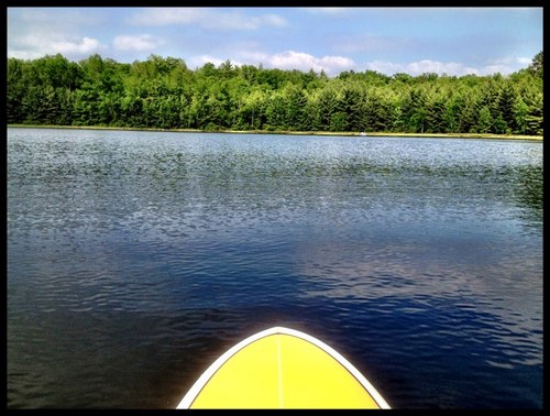 StephanieZadrog's profile picture. 