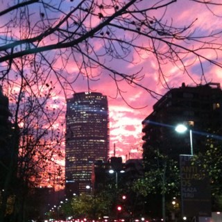 pipaayala's profile picture. 