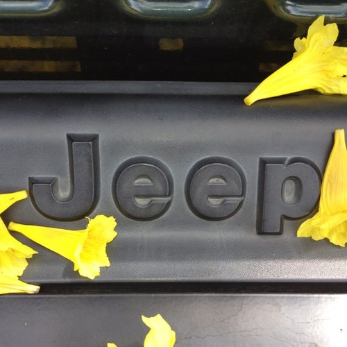 jeepjamaica's profile picture. defender driver