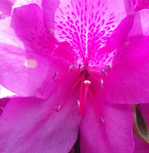 hazelname's profile picture. 車とスマホとパソコンが好きなおっさんです。