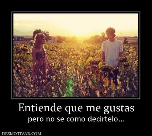 Krlos2388's profile picture. 