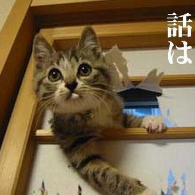 リード