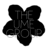 TheUmeGroup's profile image