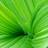 thegreenpagesBC's avatar