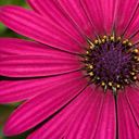 Candace Reed - @CandaceReed5 - Twitter