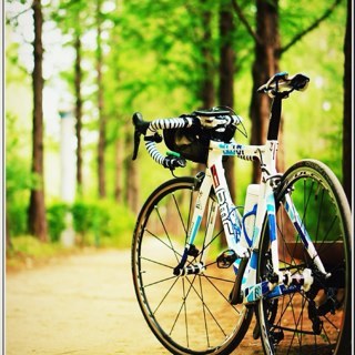 Gany419's profile picture. Everything never last forever /不垢不淨 / 오지랖 싫음 언팔 필수/ID: 97189663