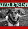 Kali & Co. is a maker of luxury pet blankets and accessories. Located in beautiful Napa, California all of our items are handmade.