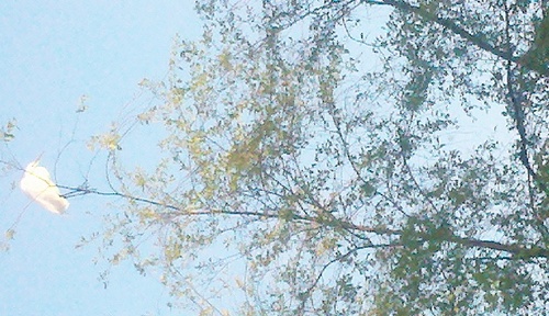 jrmorbidelli's profile picture. 