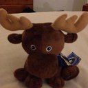 Brian DeMott - @Zerro0713 - Twitter