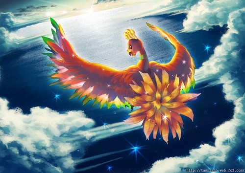 I Am Ho Oh The Legendary Rainbow Bird Pokemon I Rule The skies 
@FierceRaikou @NorthWindAurora And @TheEntei Have Been My Followers For Over 400 Years