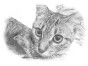 fujideji_yamato's profile picture. 省エネコンサルタントから工業系講師になったやまとです。 沖縄好きでスキューバ好きです。 経済やゲームが好きですが、家族第一な人です。タンタミンです。