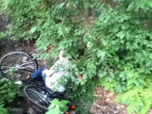 niemandmagjoux's profile picture. orns,bebbie en fuck de rest//proud to be dutch//nuenen alles