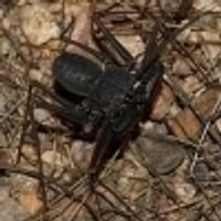 Tern (@tern) 's Twitter Profile