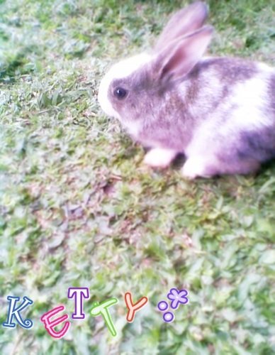 siwidwisafhira's profile picture. Ketty :* :3 27 - 05 - 2012