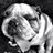Jimzy88's profile image