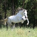 David Simantov - @DaveSiTov - Twitter