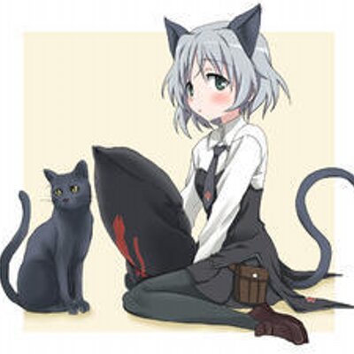 サーニャ v リトヴャク No Twitter 眠い 寝ます おやすみなさい