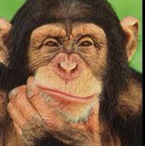 DA22AH's profile picture. 