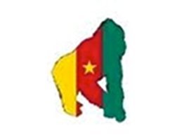 Cameroun Annonce , vos nouvelles annonces Gratuites sur le Cameroun. Immobilier, Véhicules, Emploi, Tourisme, Hôtel, Restaurant,  tout le Cameroun en UN CLIC