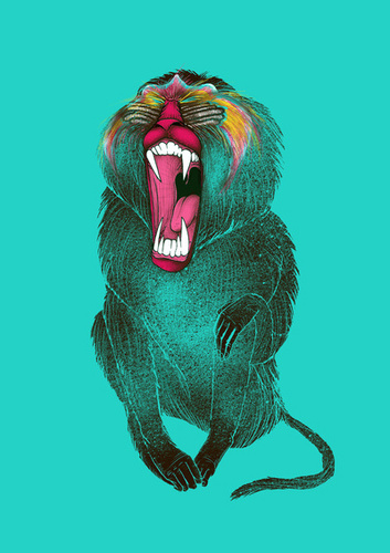 pokep_coco's profile picture. 