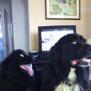 Art Delaney - @artd1967 - Twitter