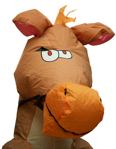 GGNetParade's profile picture. Inhoudelijk feestvarken van GGNet (in vermomming), inspiratie/ kennis/ ambitie, 6 juni 2013