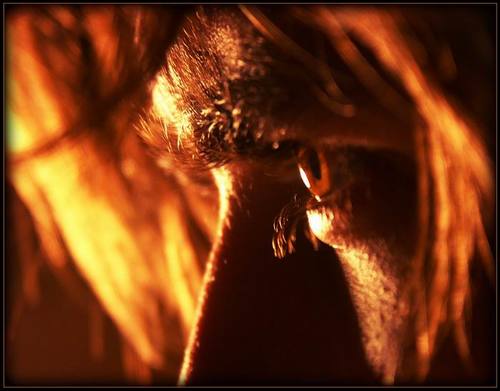 Evgeniy_Semko's profile picture. 