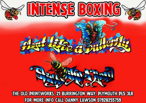 INTENSE BOXING PLYMOUTH Affiliated ABA gym boxing for beginners and carded boxers private lessons, mens and womens boxing fitness