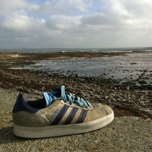 Bnjmngdj_futur's profile picture. Je suis Benjamin Guedj mais du futur. je tweete depuis le futur pour essayer d'ameliorer ma vie, sans tout bouleverser non plus. Je n'en ai pas le droit...