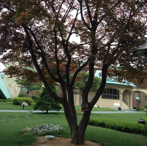 pray2G's profile picture. 