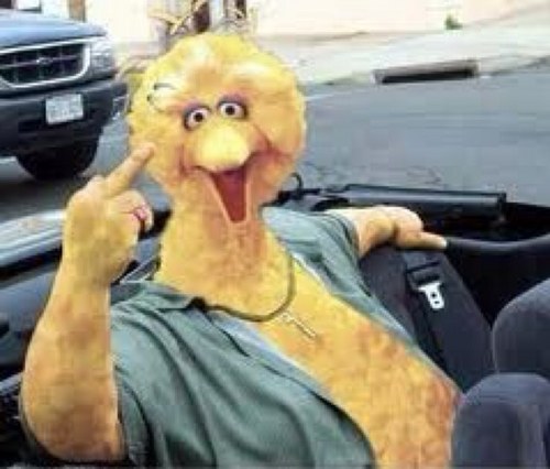 GhettoBigBird's profile picture. The original Birdman. I run Sesame St. Grind all day, fuck bitches all night. Parody account, not affiliated with Sesame St. Contact ghettobigbird@gmail.com