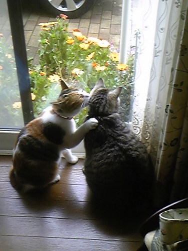 yukorinn0824's profile picture. またまた、名前変更しました。
生きにくい世の中、明るく楽しく、過ごしましょう。

拓郎さん大好き♥猫大好き♥断捨離も大好き？？いくつになっても、興味津々でいたいものです。