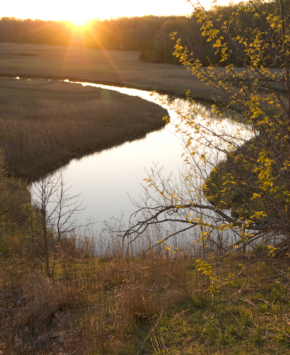 1photog4's profile picture. 