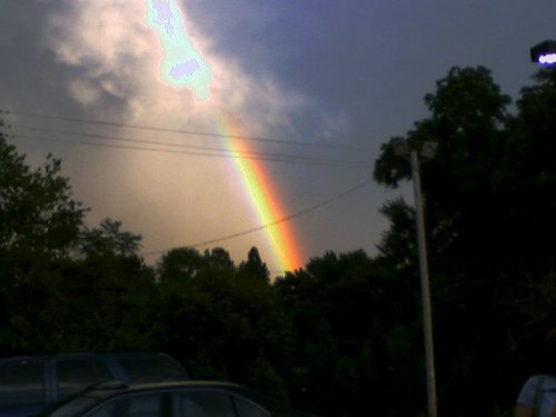If it walks like a duck, quacks like a duck and looks like a duck, chances are, it's chicken. I like rainbows. I like quotes.