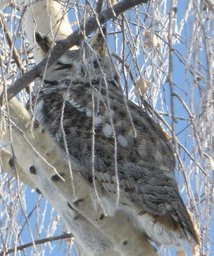 Retired biology teacher. Community science educator (SE Alberta).  U of Alberta late 60's early 70's Zoology graduate. #SciChat #STEM #SciEd #Science #SciComm