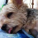 Mike Luong - @smikeluong - Twitter