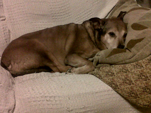 susanthompson62's profile picture. Care worker