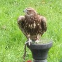 Phil Bates - @badger_phil - Twitter