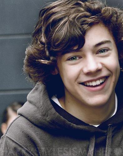 Vivo pelos meninos, principalmente pelo Harry. Since: 06/06.