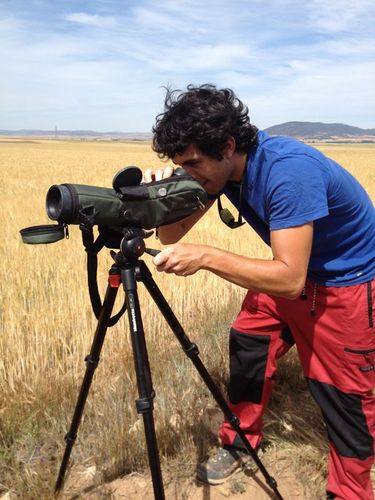 Ingeniero Agrónomo | Auditor de esquemas de agricultura sostenible, BBPP Agrícolas y Seguridad Alimentaria | Técnico de proyectos asociados al Medio Rural