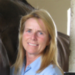 Championship Show Jumping commentator for @CBCSports. President of @EquineNB. Owner of Geary Hill Stables.