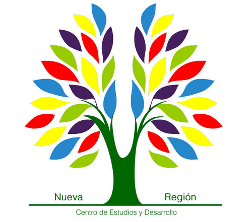 El centro de estudios Nueva Región pretende ser un punto de encuentro y reflexión sobre la realidad regional.